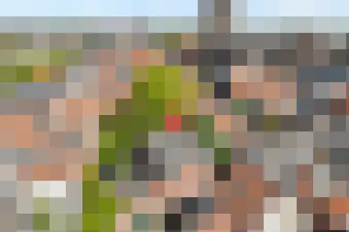 Schapensteeg 26 I Kampen thumbnail 5