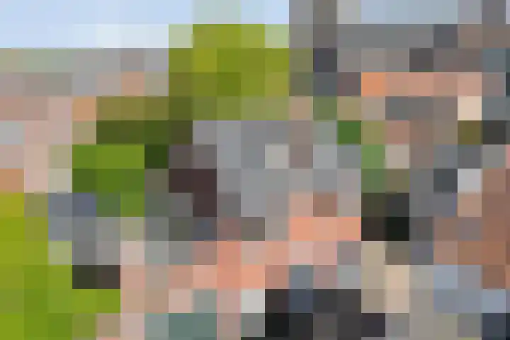 Schapensteeg 26 I Kampen thumbnail 6