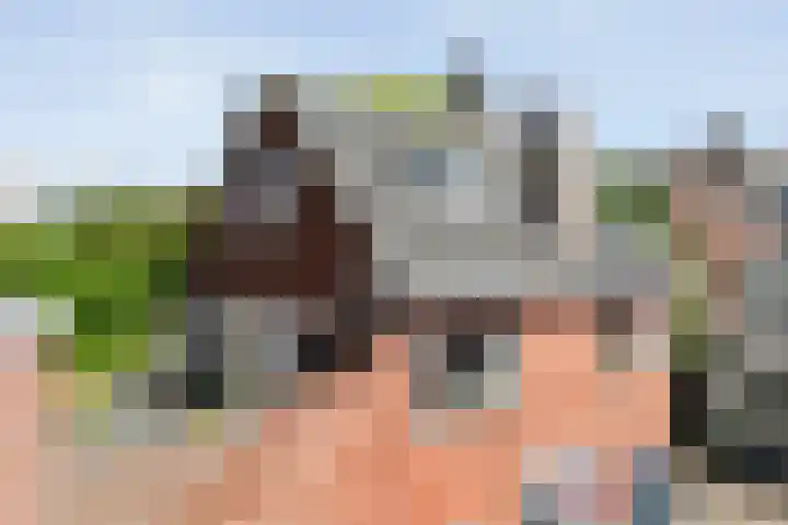 Schapensteeg 26 I Kampen thumbnail 9