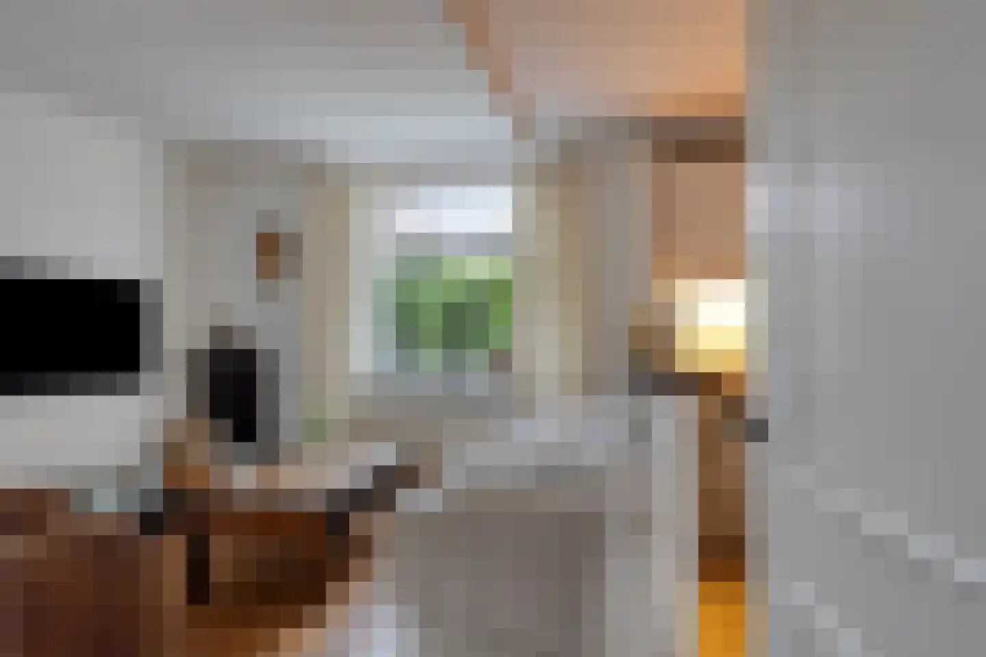 Schapensteeg 35 Kampen thumbnail 13