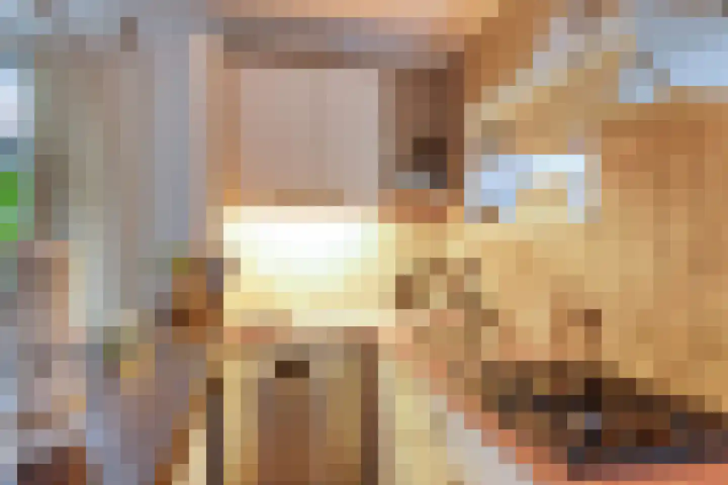 Schapensteeg 35 Kampen thumbnail 18