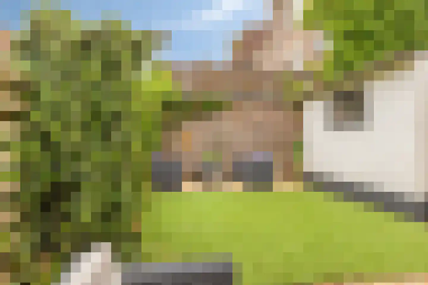 Schapensteeg 35 Kampen thumbnail 28