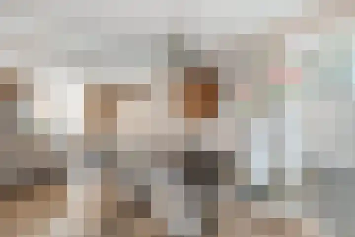 Schapensteeg 9 Kampen thumbnail 12
