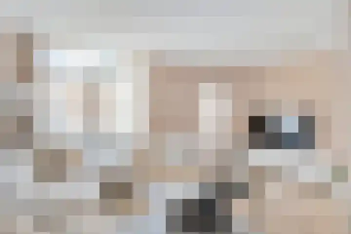 Schapensteeg 9 Kampen thumbnail 13