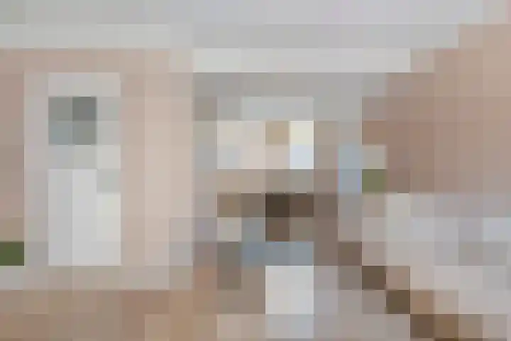 Schapensteeg 9 Kampen thumbnail 14