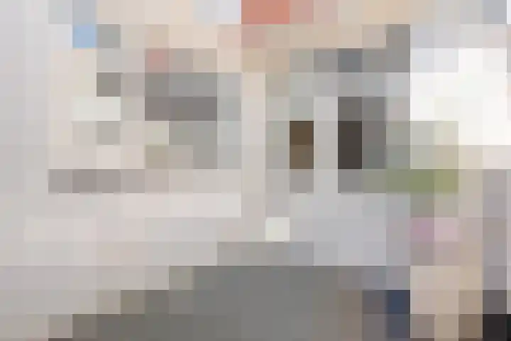 Schapensteeg 9 Kampen thumbnail 31