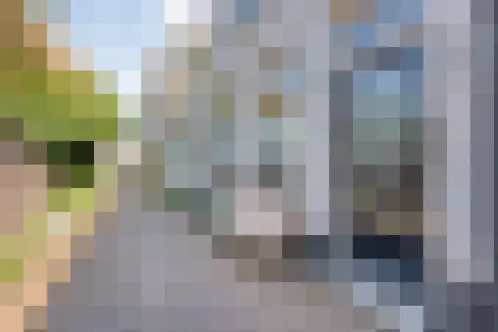 Schapensteeg 9 Kampen thumbnail 6