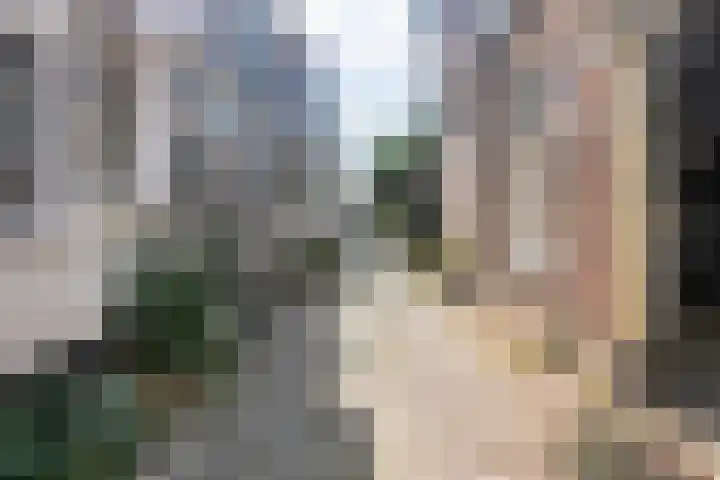Schapensteeg 9 Kampen thumbnail 8