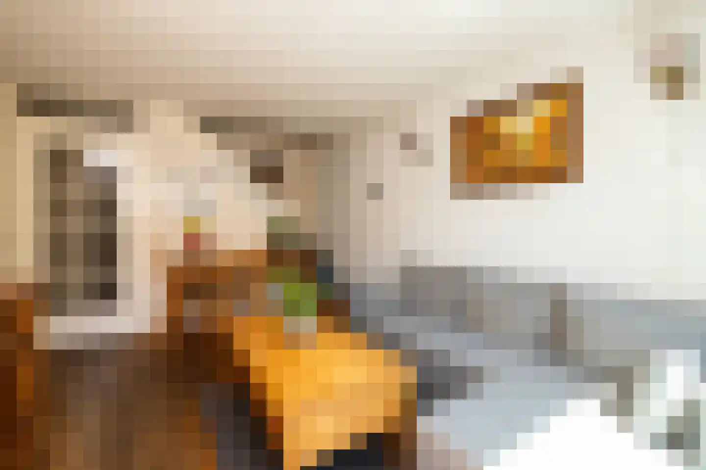 Schapenstraat 10 Schoonhoven thumbnail 15
