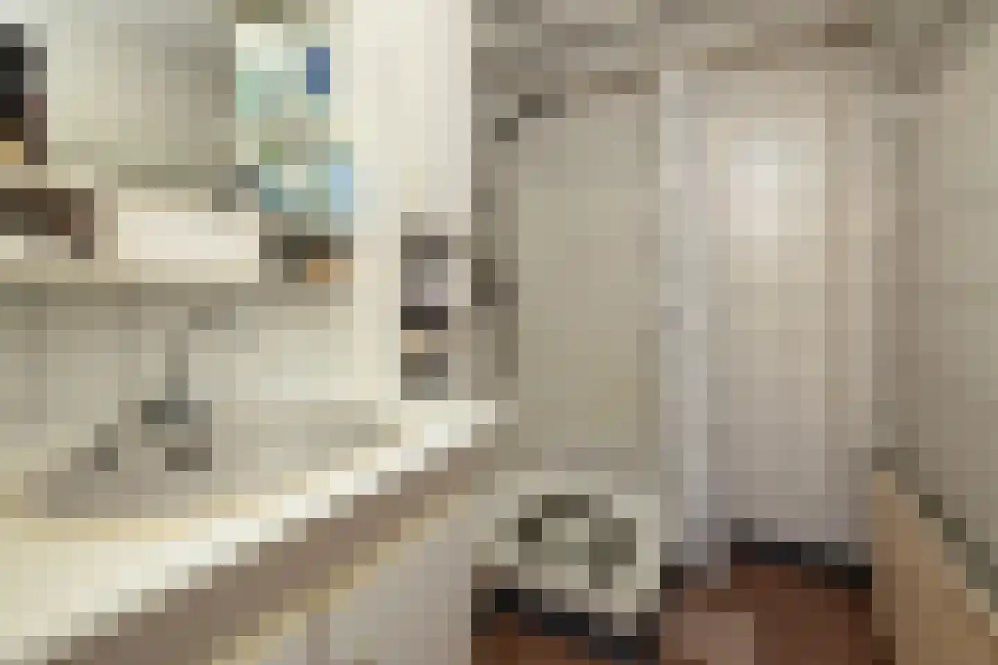 Schapenstraat 10 Schoonhoven thumbnail 34