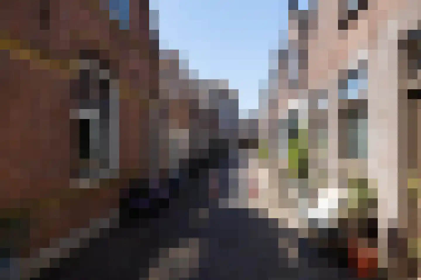 Schapenstraat 10 Schoonhoven thumbnail 5