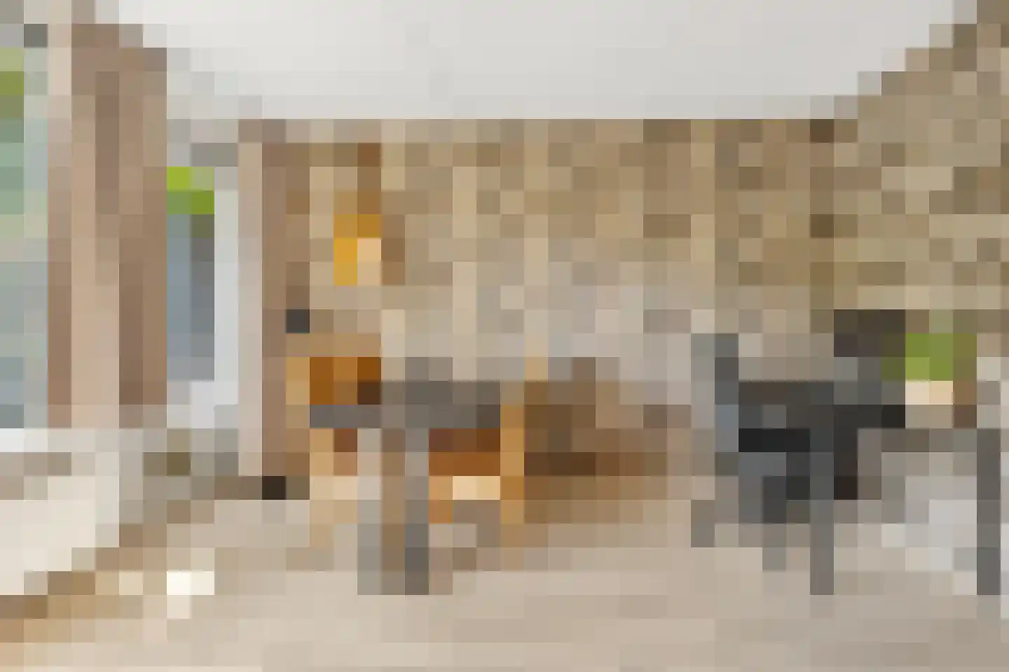 Schapenstraat 13 Hilversum thumbnail 4