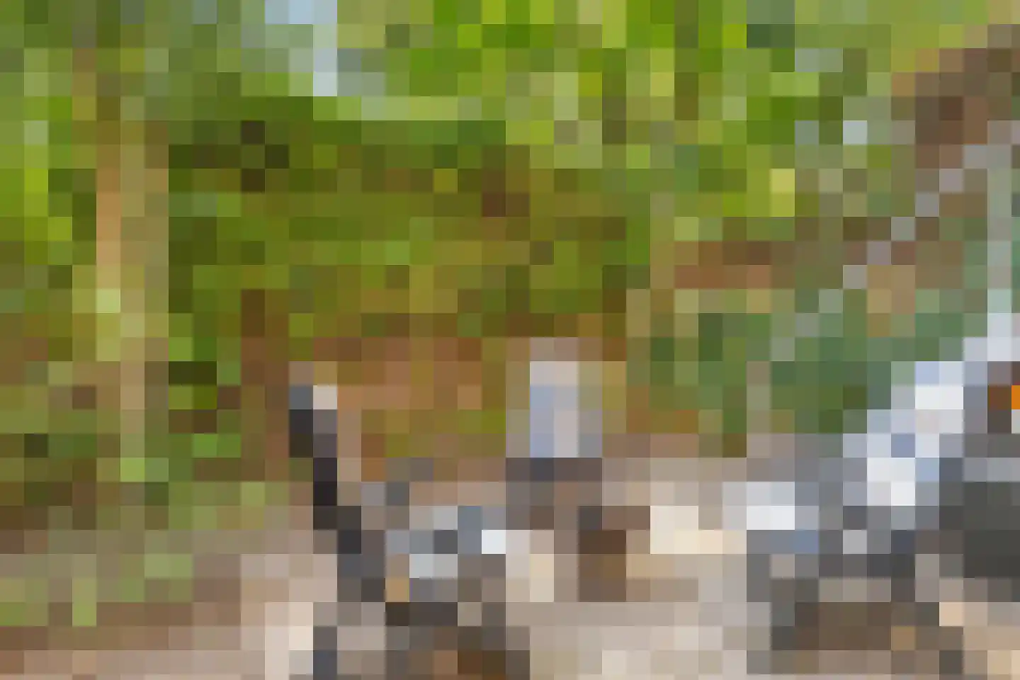 Schapenstraat 13 Hilversum thumbnail 5