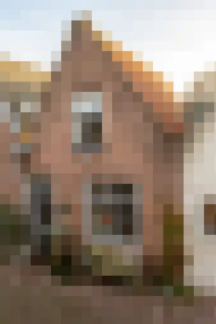 Schapenstraat 16 Schoonhoven thumbnail 51