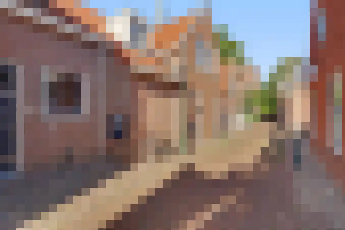 Schapenstraat 3 IJsselstein thumbnail 31