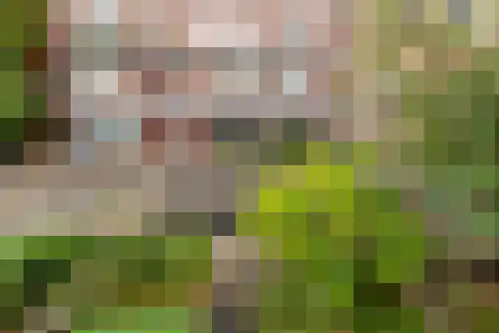 Schapenstraat 57 Hilversum thumbnail 12