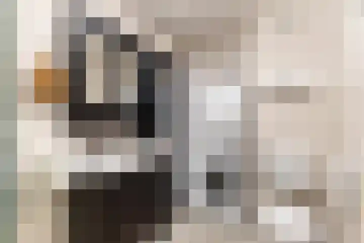 Schapenstraat 57 Hilversum thumbnail 20