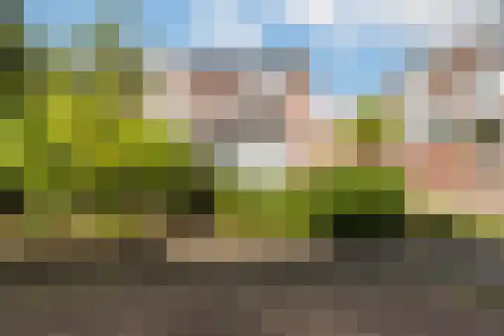 Schapenstraat 57 Hilversum thumbnail 22