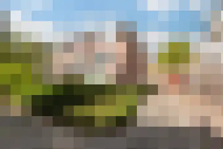 Schapenstraat 57 Hilversum thumbnail 23