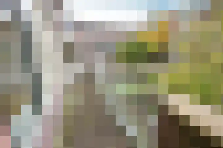 Schapenstraat 59 Hilversum thumbnail 11