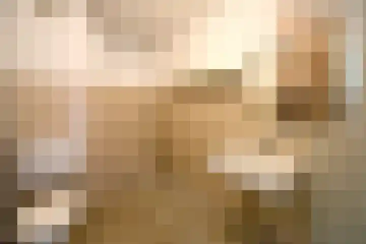Schapenstraat 59 Hilversum thumbnail 8