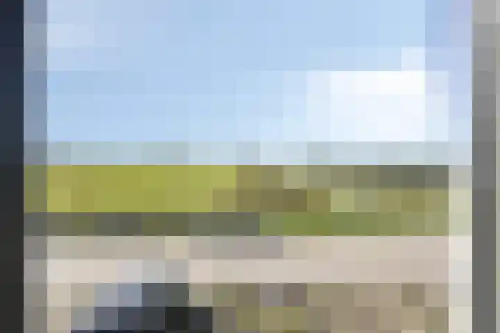 Schapenveld 23 Beneden-Leeuwen thumbnail 17