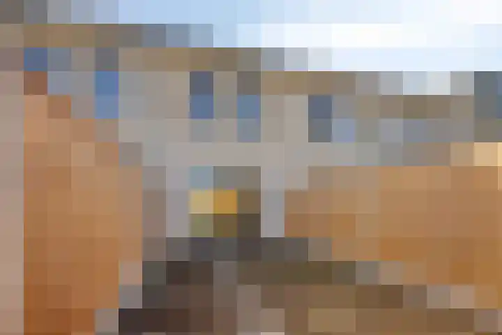 Schapenveld 23 Beneden-Leeuwen thumbnail 23