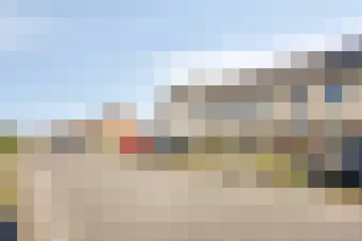 Schapenveld 23 Beneden-Leeuwen thumbnail 5