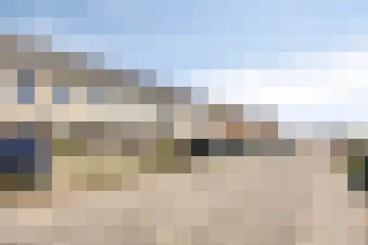 Schapenveld 23 Beneden-Leeuwen thumbnail 6