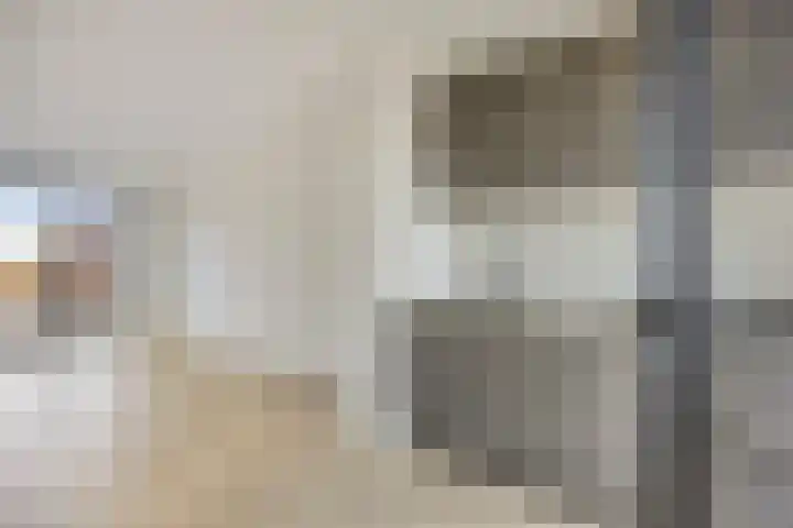 Schapenveld 23 Beneden-Leeuwen thumbnail 9
