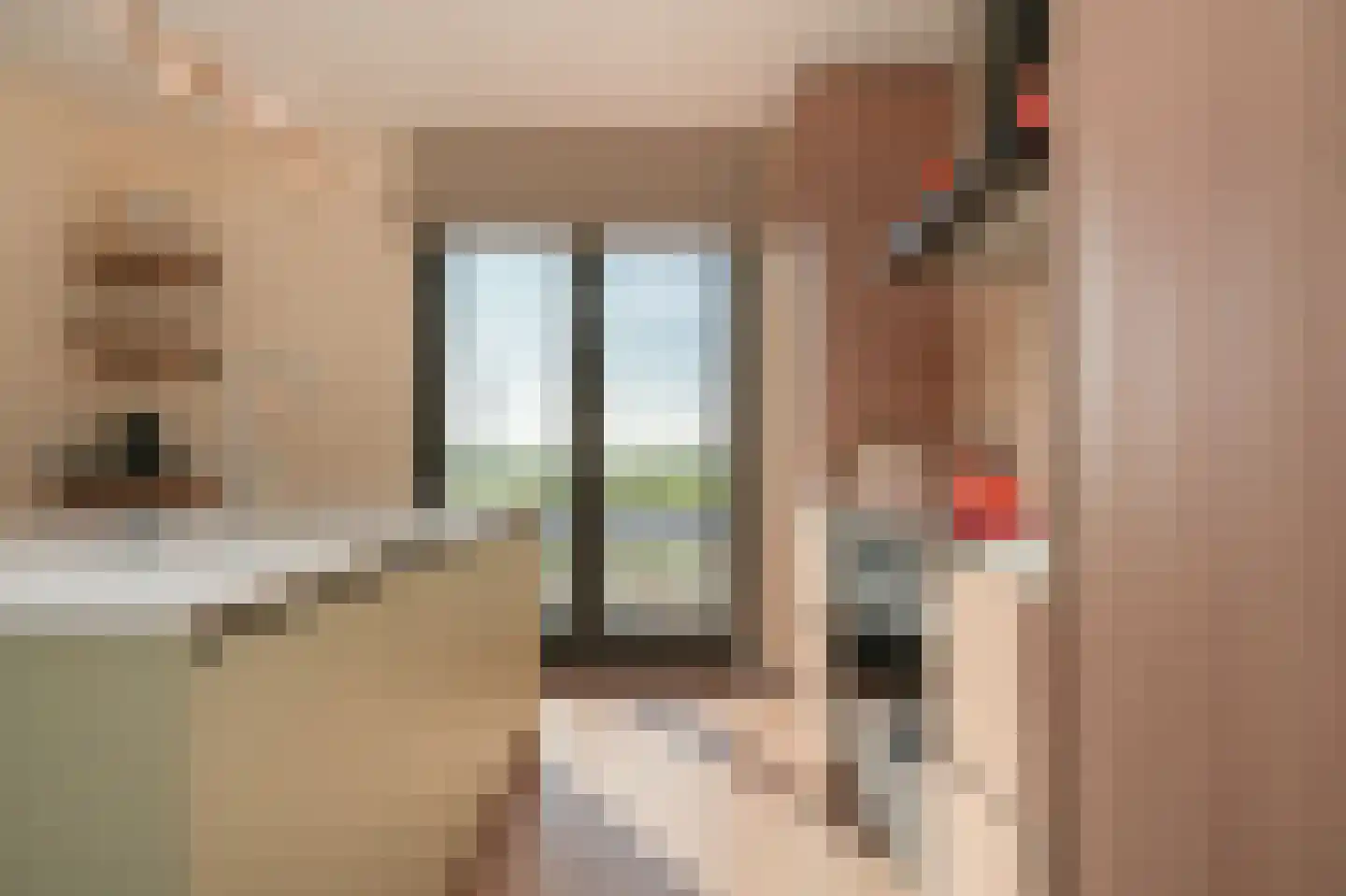 Schapenveld 29 Beneden-Leeuwen thumbnail 15