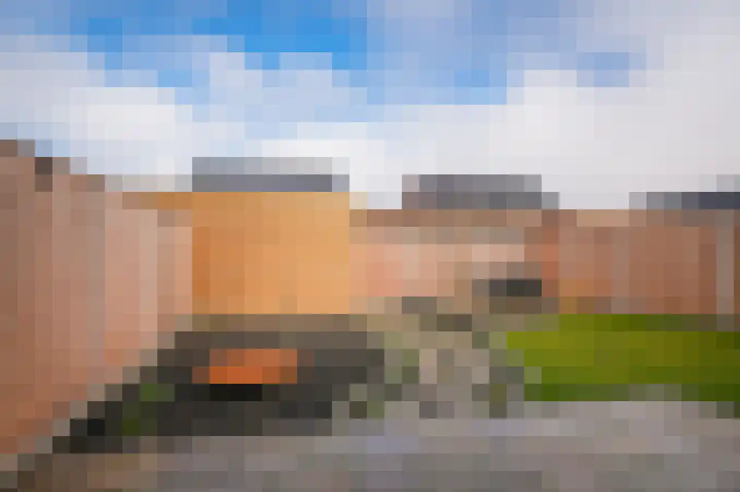 Schapenveld 29 Beneden-Leeuwen thumbnail 29