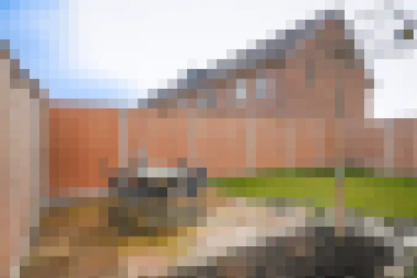 Schapenveld 29 Beneden-Leeuwen thumbnail 34