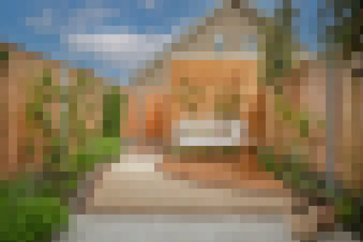 Schapenveld 43 Beneden-Leeuwen thumbnail 33