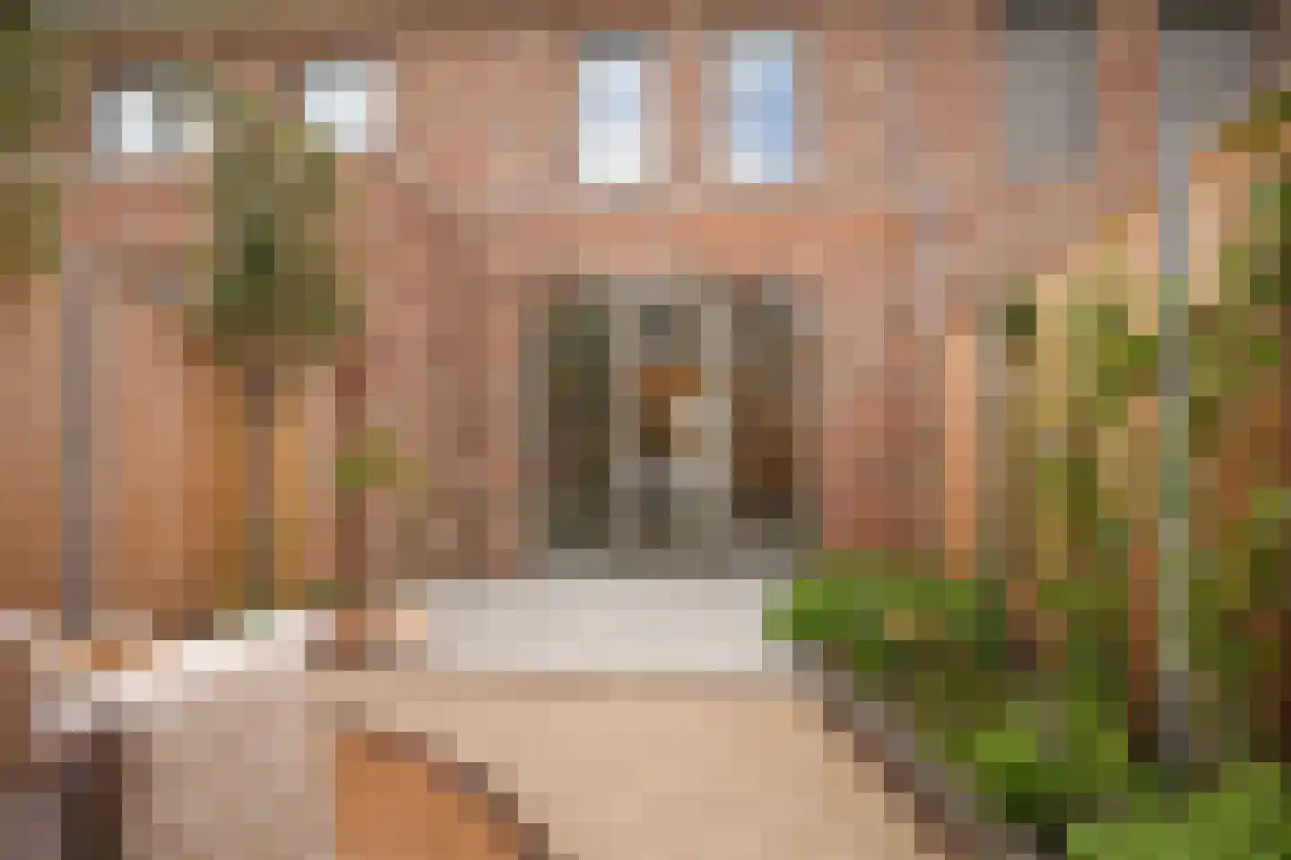 Schapenveld 43 Beneden-Leeuwen thumbnail 34