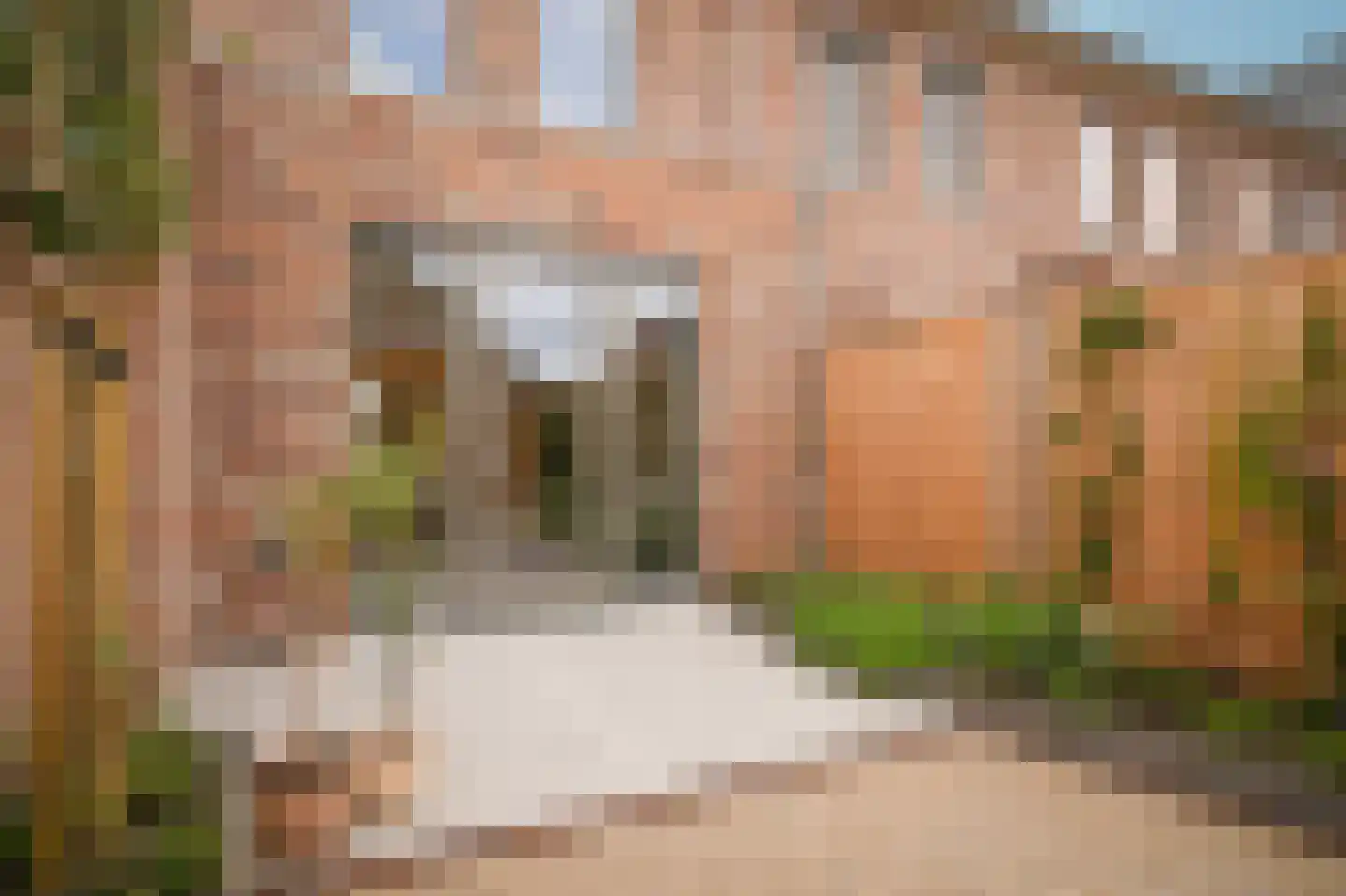 Schapenveld 43 Beneden-Leeuwen thumbnail 36