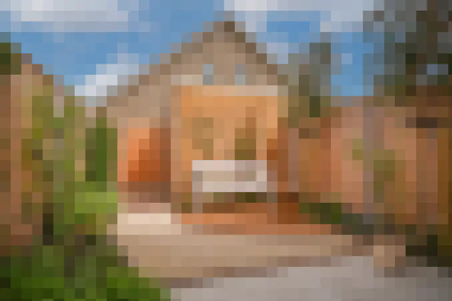 Schapenveld 43 Beneden-Leeuwen thumbnail 37
