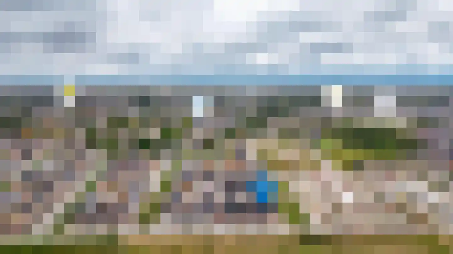 Schapenveld 43 Beneden-Leeuwen thumbnail 43
