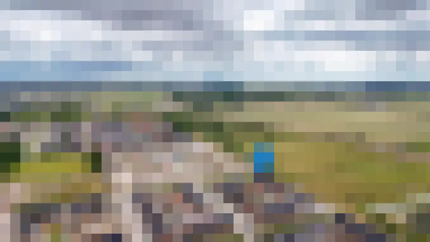 Schapenveld 43 Beneden-Leeuwen thumbnail 44