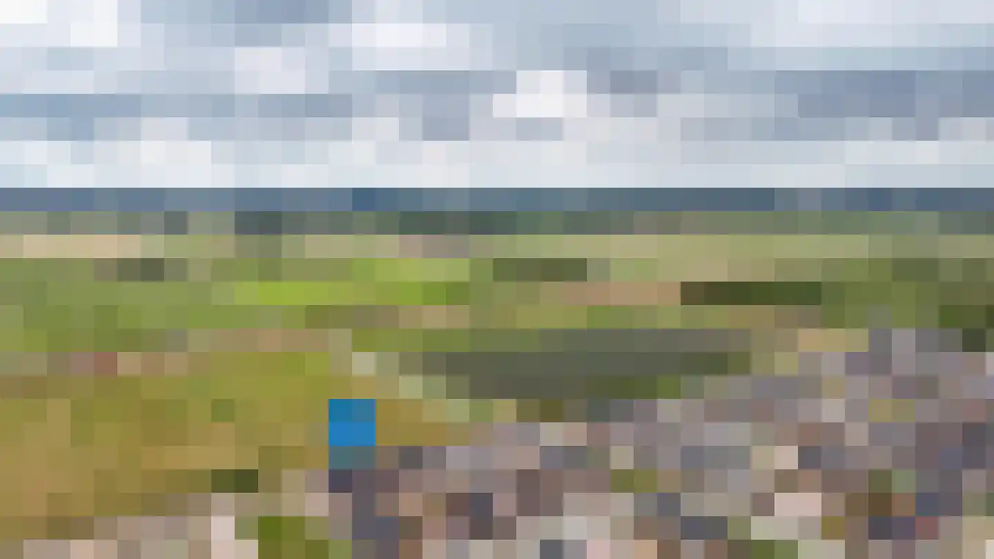 Schapenveld 43 Beneden-Leeuwen thumbnail 45