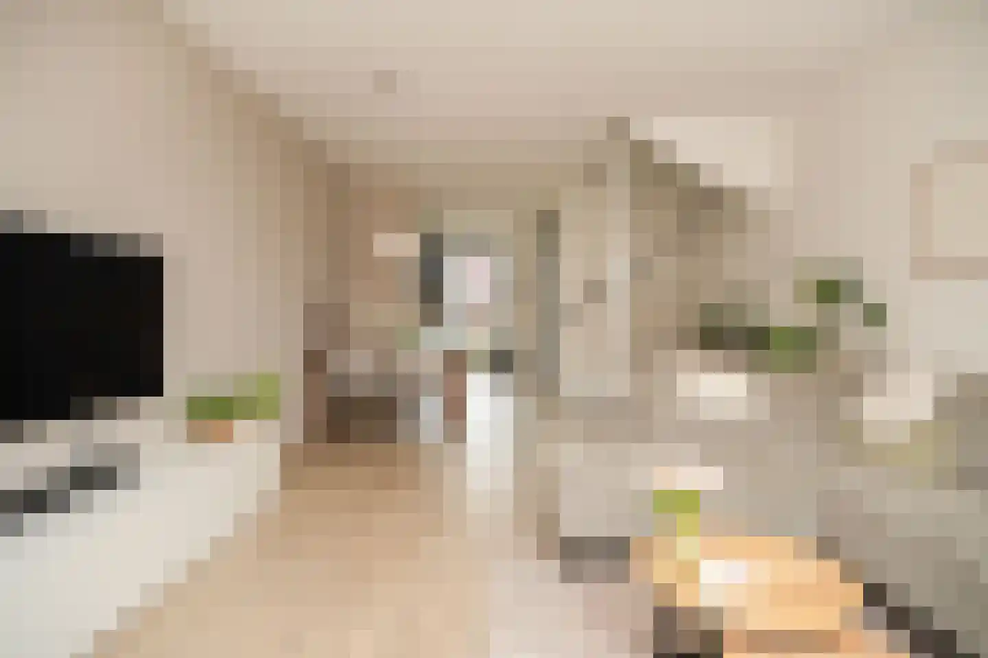 Schapenveld 43 Beneden-Leeuwen thumbnail 7