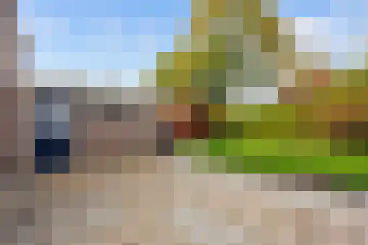 Schapenweg 11 Ulrum thumbnail 27