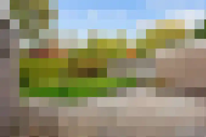 Schapenweg 11 Ulrum thumbnail 28