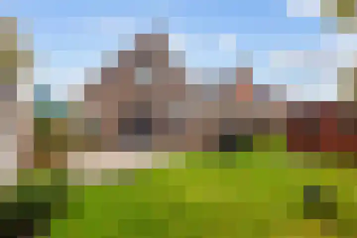Schapenweg 11 Ulrum thumbnail 29