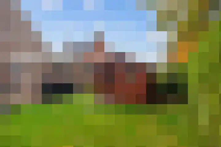 Schapenweg 11 Ulrum thumbnail 30