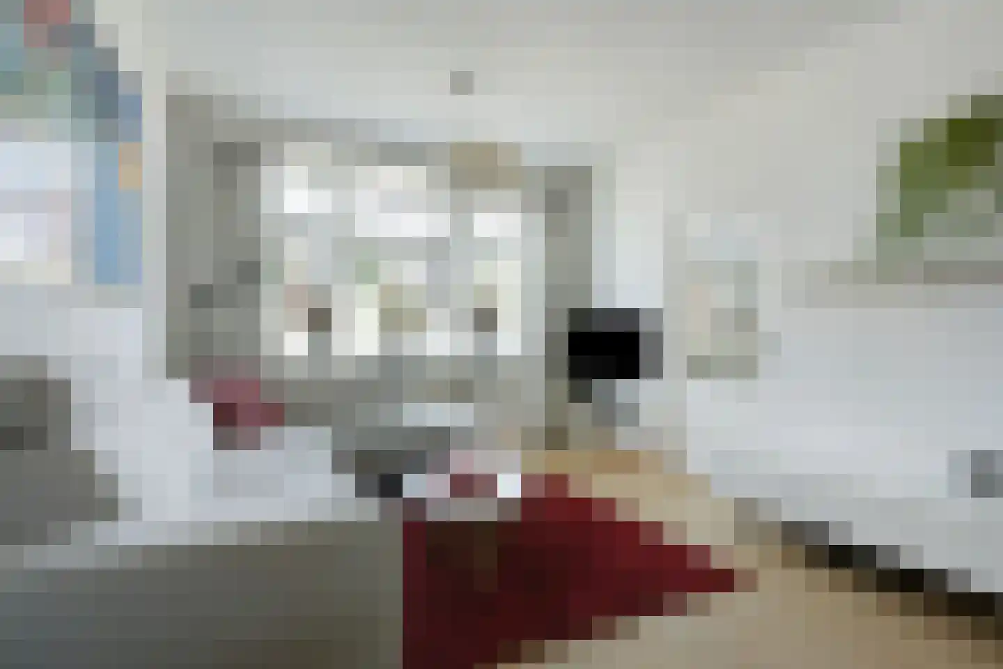 Schapenweg 13 Zeddam thumbnail 12