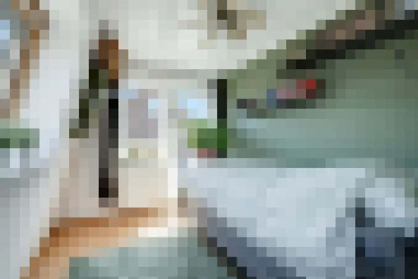 Schapenweg 13 Zeddam thumbnail 41
