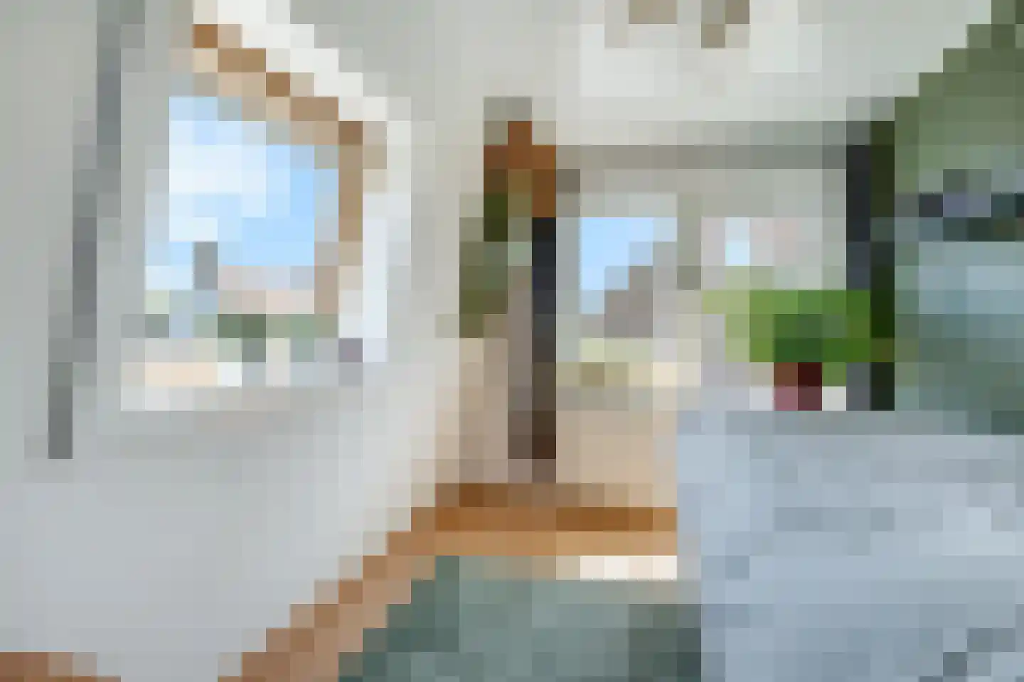 Schapenweg 13 Zeddam thumbnail 42