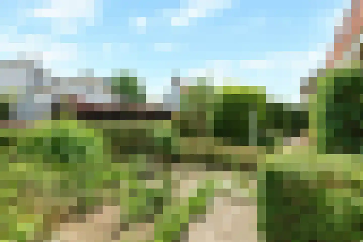 Schapenweg 13 Zeddam thumbnail 47