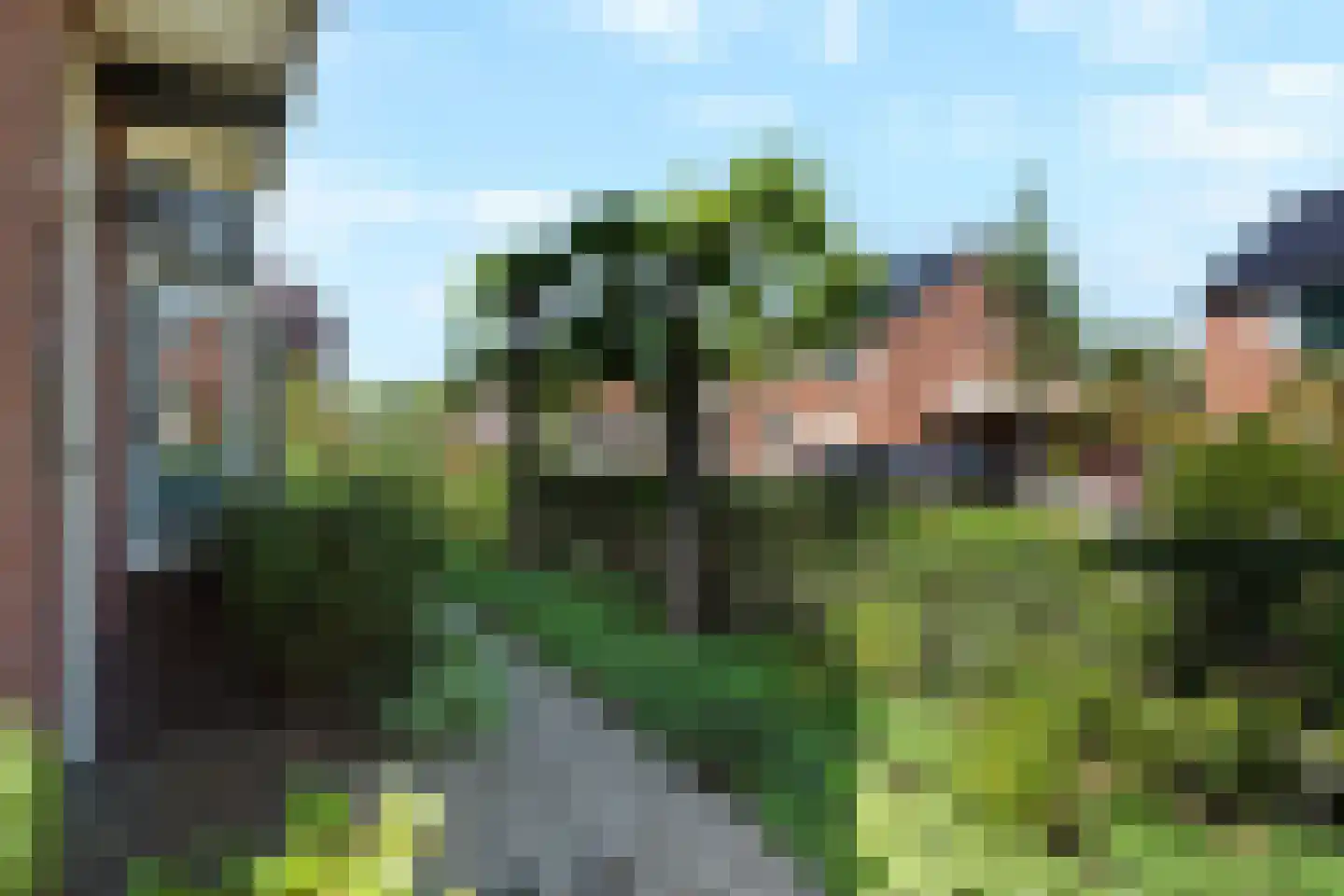 Schapenweg 13 Zeddam thumbnail 48